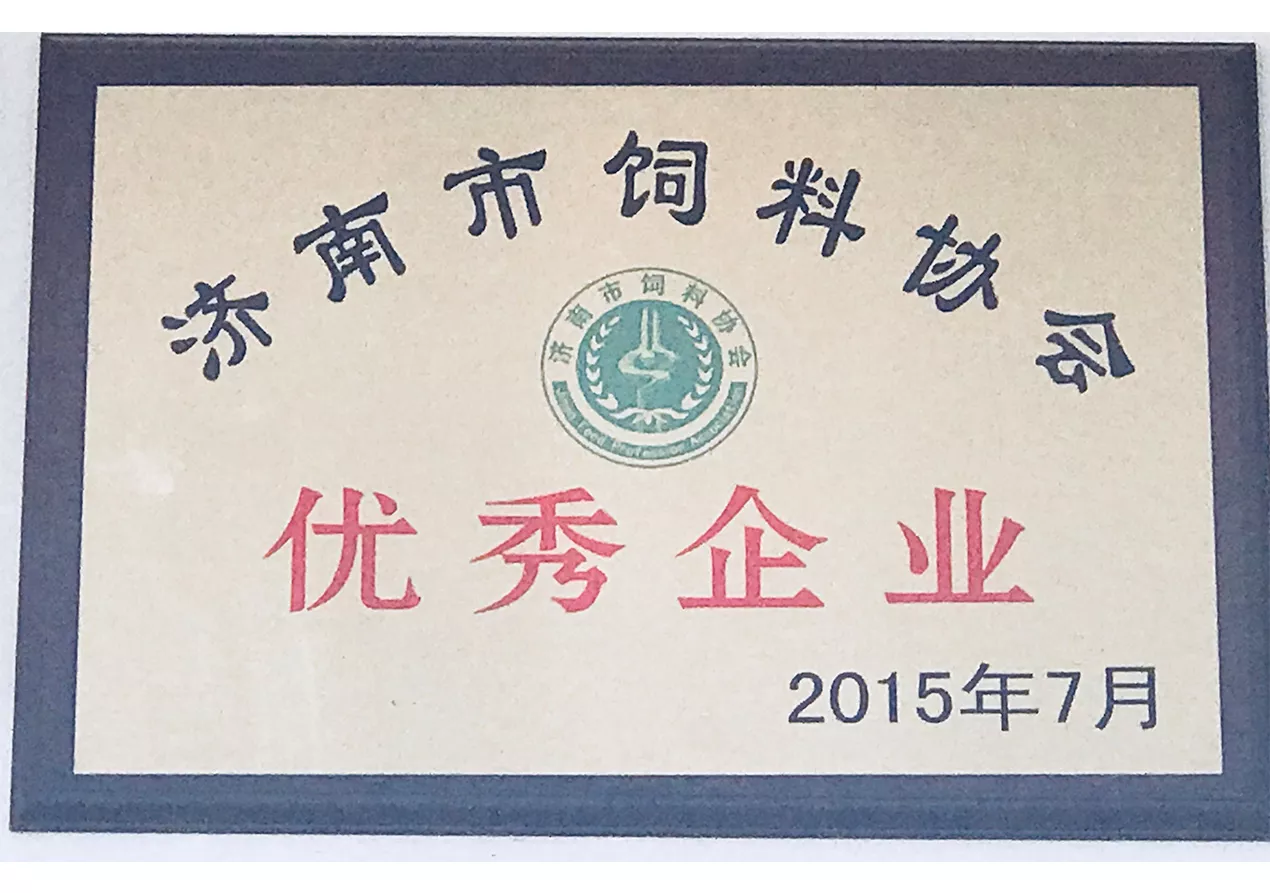 2015优秀企业