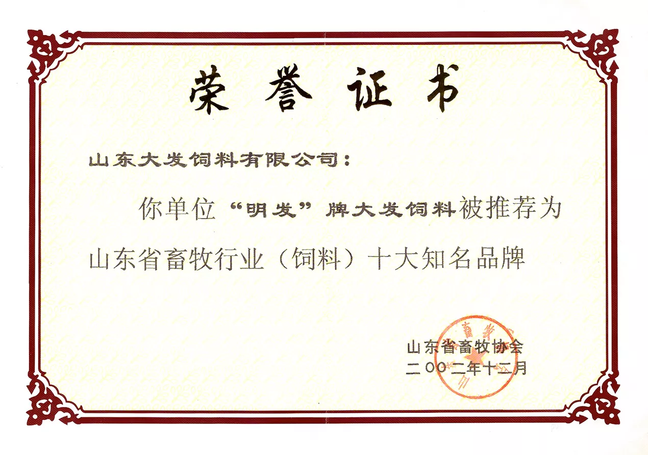2002十大知名品牌
