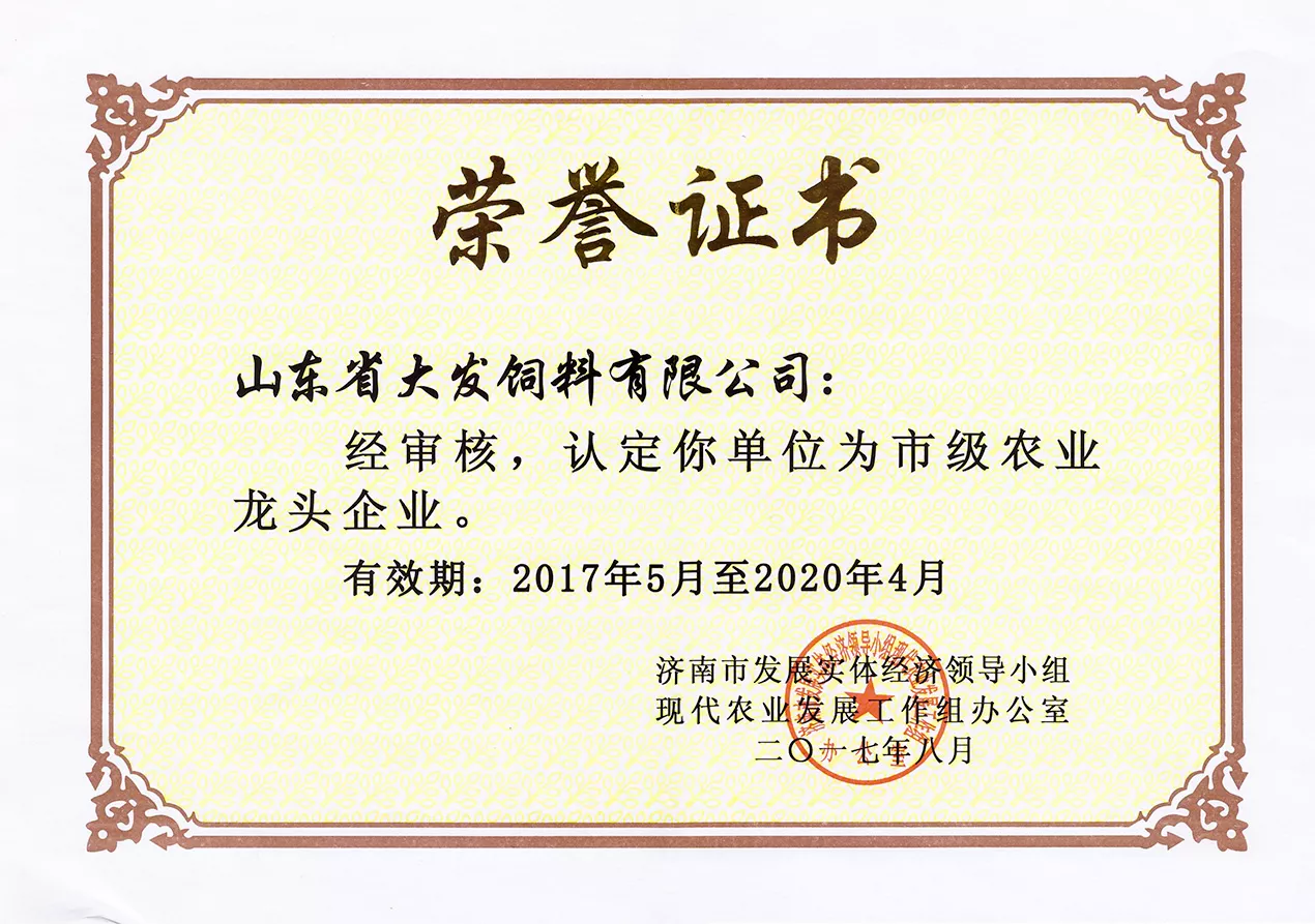2017龙头企业证书