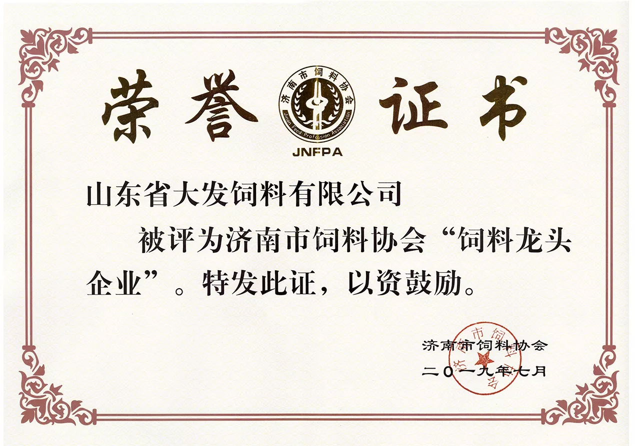 2019协会龙头企业